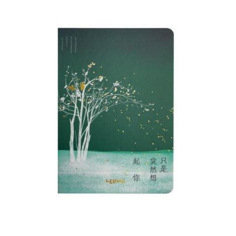 Notes Lenwa Drzewa B6/96 linia, Zielony